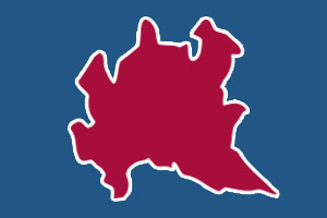 INTERGRUPPO – Riforma della Sanità in Lombardia